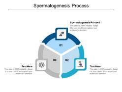 Spermatogenesis process ppt powerpoint presentation formats cpb