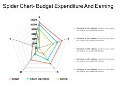 Spider chart budget expenditure and earning