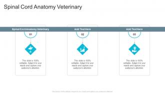 Spinal Cord Anatomy Veterinary In Powerpoint And Google Slides Cpb