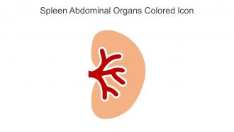 Spleen Abdominal Organs Colored Icon In Powerpoint Pptx Png And Editable Eps Format