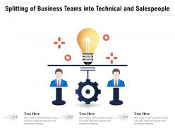 Splitting of business teams into technical and salespeople