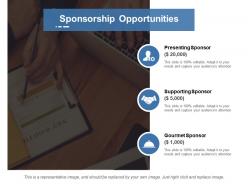 Sponsorship opportunities ppt summary model