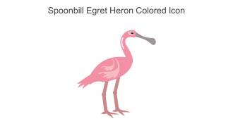 Spoonbill Egret Heron Colored Icon In Powerpoint Pptx Png And Editable Eps Format