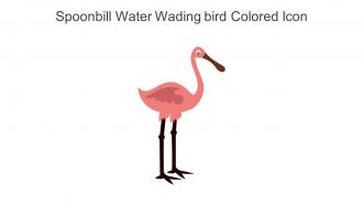 Spoonbill Water Wading Bird Colored Icon In Powerpoint Pptx Png And Editable Eps Format
