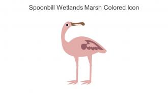 Spoonbill Wetlands Marsh Colored Icon In Powerpoint Pptx Png And Editable Eps Format