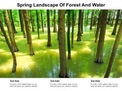 Spring landscape of forest and water