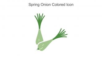 Spring Onion Colored Icon In Powerpoint Pptx Png And Editable Eps Format