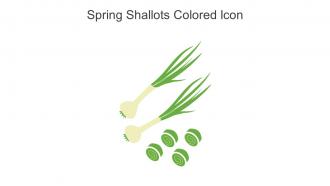 Spring Shallots Colored Icon In Powerpoint Pptx Png And Editable Eps Format