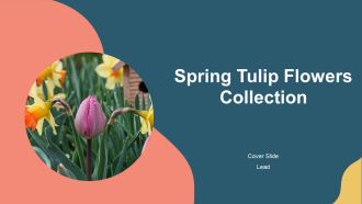 Spring Tulip Flowers Collection PPT Slides AT