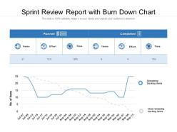 Sprint review report with burn down chart