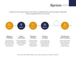 Sprints solution customers ppt powerpoint presentation file deck