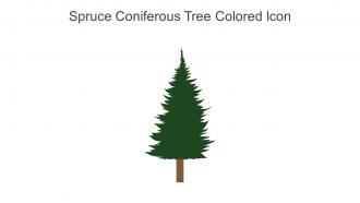 Spruce Coniferous Tree Colored Icon In Powerpoint Pptx Png And Editable Eps Format