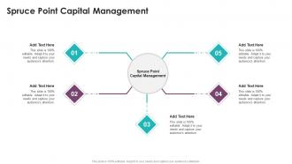 Spruce Point Capital Management In Powerpoint And Google Slides Cpb