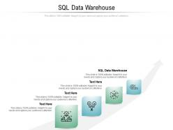 Sql data warehouse ppt powerpoint presentation pictures guide cpb
