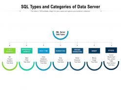 Sql types and categories of data server