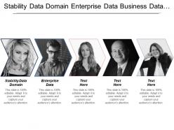 Stability Data Domain Enterprise Data Business Data Owner