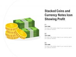 Stacked coins and currency notes icon showing profit