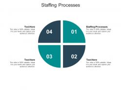 Staffing processes ppt powerpoint presentation model summary cpb