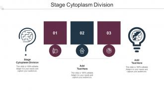 Stage Cytoplasm Division In Powerpoint And Google Slides Cpb