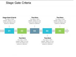 Stage gate criteria ppt powerpoint presentation file objects cpb