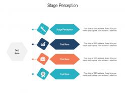 Stage perception ppt powerpoint presentation infographic template slide portrait cpb