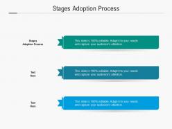 Stages adoption process ppt powerpoint presentation summary samples cpb