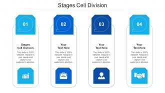 Stages cell division ppt powerpoint presentation portfolio background designs cpb
