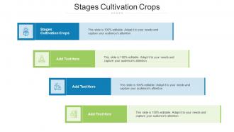 Stages Cultivation Crops Ppt Powerpoint Presentation Professional Structure Cpb
