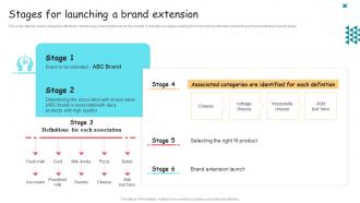 Stages For Launching A Brand Extension Ppt Information