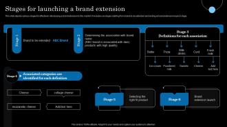 Stages For Launching A Brand Extension Strategic Brand Extension Launching