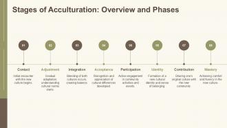 Stages Of Acculturation Overview And Phases Acculturation Process PPT Summary ACP