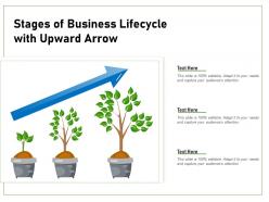 Stages of business lifecycle with upward arrow