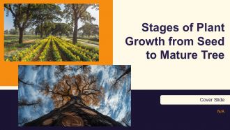 Stages Of Plant Growth From Seed To Mature Tree PPT Sample AT