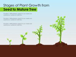 Stages of plant growth from seed to mature tree