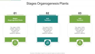 Stages Organogenesis Plants In Powerpoint And Google Slides Cpb