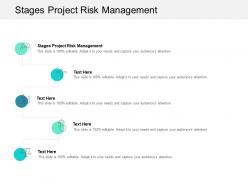 Stages project risk management ppt powerpoint presentation file vector cpb