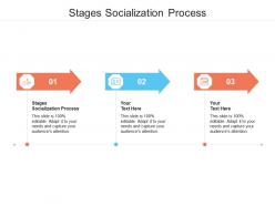 Stages socialization process ppt powerpoint presentation infographics picture cpb