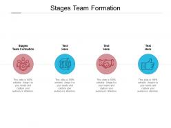 Stages team formation ppt powerpoint presentation inspiration graphics cpb