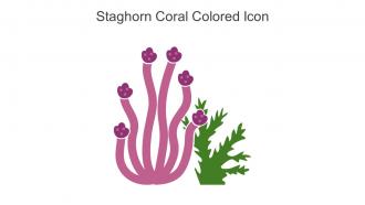Staghorn Coral Colored Icon In Powerpoint Pptx Png And Editable Eps Format