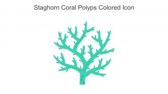 Staghorn Coral Polyps Colored Icon In Powerpoint Pptx Png And Editable Eps Format