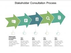 Stakeholder consultation process ppt powerpoint presentation model gallery cpb