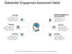 Stakeholder engagement assessment matrix ppt pictures inspiration cpb