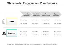 Stakeholder engagement plan process