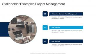 Stakeholder Examples Project Management In Powerpoint And Google Slides Cpb
