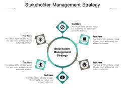 Stakeholder management strategy ppt powerpoint presentation file summary cpb