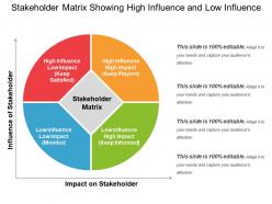 Stakeholder matrix showing high influence and low influence
