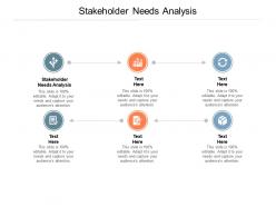 Stakeholder needs analysis ppt powerpoint presentation summary infographic template cpb
