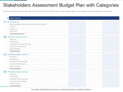 Stakeholders assessment budget plan with categories analyzing performing stakeholder assessment