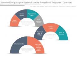 Standard Drug Support System Example Powerpoint Templates Download