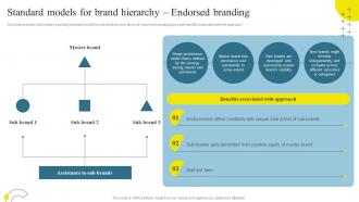 Standard Models For Brand Hierarchy Endorsed Branding Brand Maintenance Through Effective Branding SS